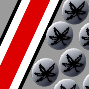 Fundraising Page: Chris English